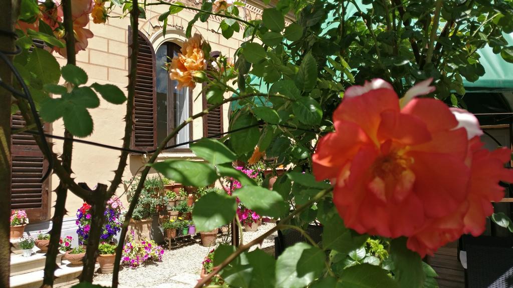 La Chicca B&B سيينا المظهر الخارجي الصورة