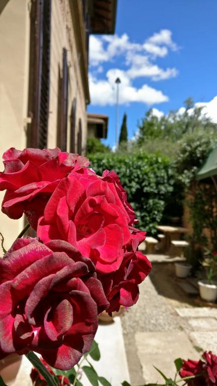 La Chicca B&B سيينا المظهر الخارجي الصورة